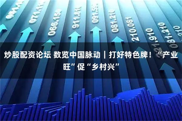 炒股配资论坛 数览中国脉动｜打好特色牌！“产业旺”促“乡村兴”